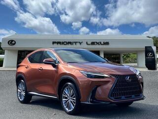 2025 Lexus NX 350 for sale in Virginia Beach VA