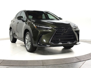 2025 Lexus NX 350 for sale in Schaumburg IL