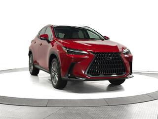 2025 Lexus NX 350 for sale in Schaumburg IL