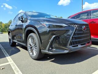 2026 Lexus NX 350 for sale in Durham NC