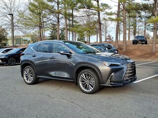 2026 Lexus NX 350 for sale in Durham NC