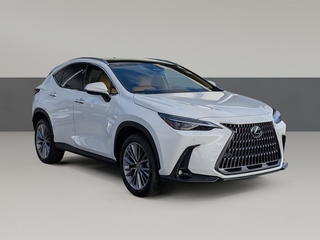 2026 Lexus NX 350 for sale in Chattanooga TN