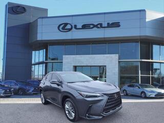 2023 Lexus NX 350 for sale in Nashville TN