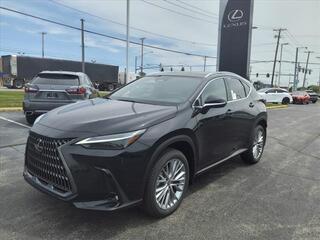 2024 Lexus NX 350 for sale in Toledo OH