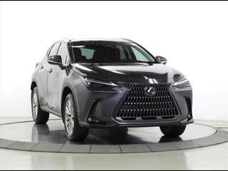 2025 Lexus NX 350 for sale in Schaumburg IL