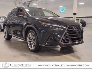 2025 Lexus NX 350 for sale in Oakhurst NJ