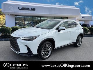 2026 Lexus NX 350 for sale in Kingsport TN