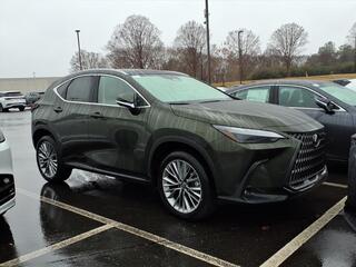 2026 Lexus NX 350 for sale in Durham NC
