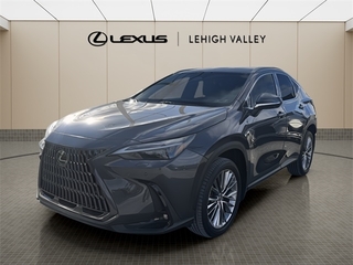 2022 Lexus NX 350h for sale in Allentown PA