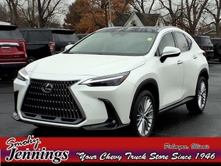 2025 Lexus NX 350h