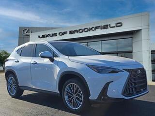 2026 Lexus NX 350h for sale in Brookfield WI