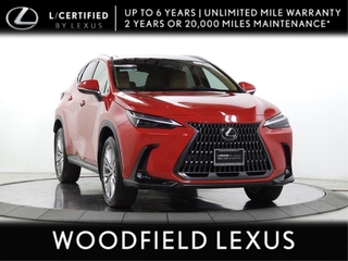 2025 Lexus NX 350h for sale in Schaumburg IL