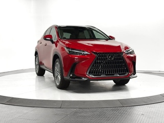 2025 Lexus NX 350h for sale in Schaumburg IL