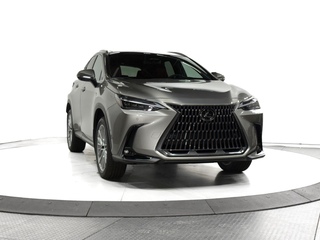 2025 Lexus NX 350h for sale in Schaumburg IL
