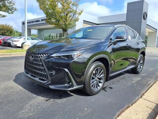 2025 Lexus NX 350h for sale in Brentwood TN