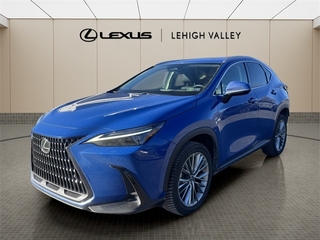 2023 Lexus NX 350h for sale in Allentown PA