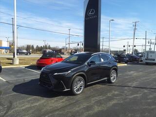 2023 Lexus NX 350h for sale in Toledo OH