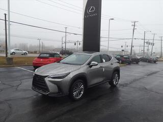 2023 Lexus NX 350h for sale in Toledo OH