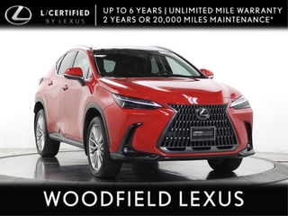 2025 Lexus NX 350h