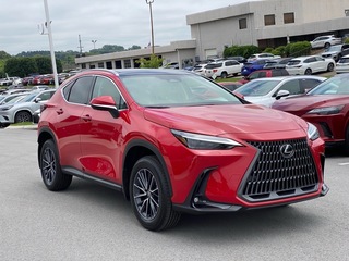 2025 Lexus NX 350h for sale in Chattanooga TN