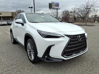 2026 Lexus NX 350h for sale in Nashville TN