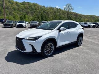 2026 Lexus NX 350h for sale in Kingsport TN