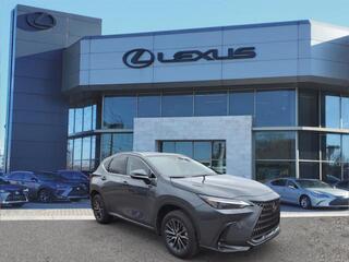 2024 Lexus NX 350h for sale in Nashville TN