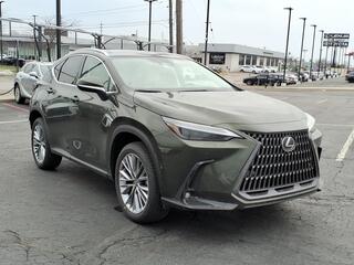 2026 Lexus NX 350h for sale in Taylor MI