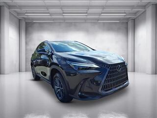 2026 Lexus NX 350h for sale in Nashville TN