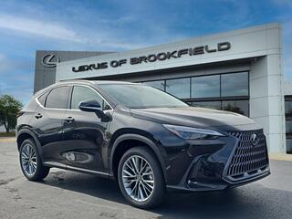 2026 Lexus NX 350h for sale in Brookfield WI