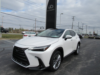 2022 Lexus NX 350h for sale in Toledo OH