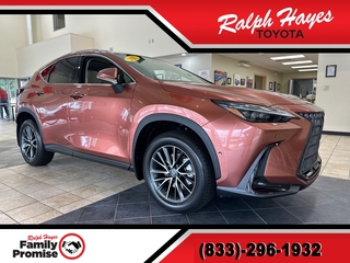 2025 Lexus NX 350h
