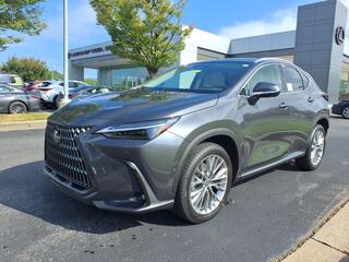 2025 Lexus NX 350h for sale in Brentwood TN