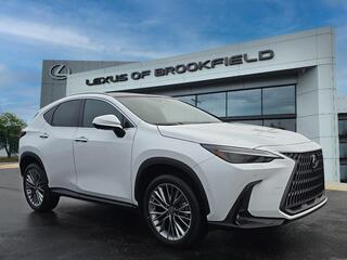 2026 Lexus NX 350h for sale in Brookfield WI