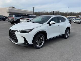 2026 Lexus NX 350h for sale in Kingsport TN