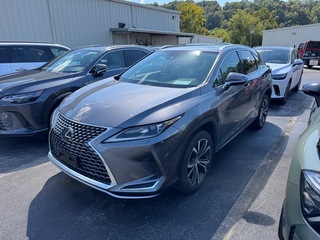 2020 Lexus RX 350 for sale in Kingsport TN