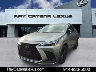 2024 Lexus NX 350 for sale in Larchmont NY