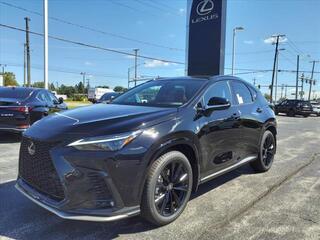 2024 Lexus NX 350 for sale in Toledo OH