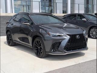 2025 Lexus NX 350 for sale in Chattanooga TN