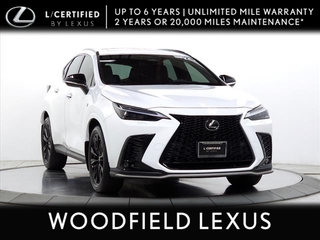 2023 Lexus NX 350 for sale in Schaumburg IL