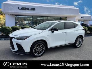 2024 Lexus NX 350 for sale in Kingsport TN