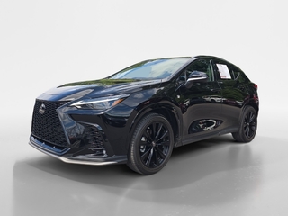 2023 Lexus NX 350 for sale in Knoxville TN
