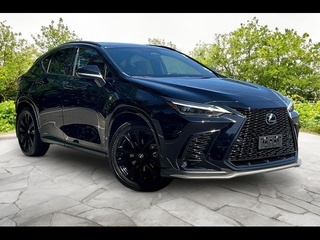 2024 Lexus NX 350 for sale in Freehold NJ