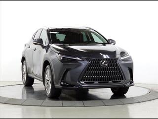 2024 Lexus NX 350 for sale in Schaumburg IL