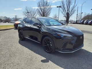 2024 Lexus NX 350 for sale in Nashville TN