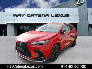 2024 Lexus NX 350 for sale in Larchmont NY