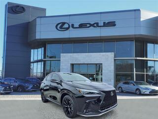 2025 Lexus NX 350 for sale in Nashville TN