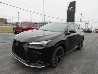 2023 Lexus NX 350 for sale in Toledo OH