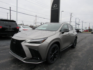 2023 Lexus NX 350 for sale in Toledo OH