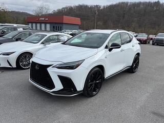 2022 Lexus NX 350 for sale in Kingsport TN